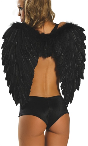Picture of Roma Costume 14-1361-BLK-O-S Feather Wings&#44; One Size - Black