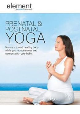 Picture of ANB D16315D Element - Prenatal & Postnatal Yoga