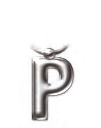 2216 Solid Metal Initial Keyring - P
