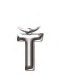2219 Solid Metal Initial Keyring - T