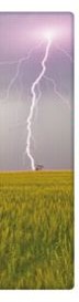National Geographic 3-D Bookmark - Lightning Bolt