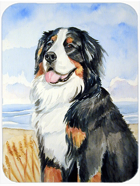Picture of Carolines Treasures 7012LCB Bernese Mountain Dog Glass Cutting Board - Large- 15 x 12 in.