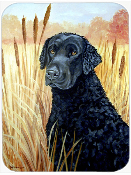 Picture of Carolines Treasures 7097LCB Curly Coated Retriever Glass Cutting Board - Large- 15 x 12 in.