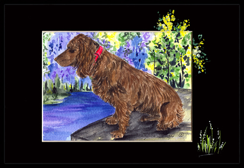 Boykin Spaniel Indoor Or Outdoor Doormat - 24 x 36 in.