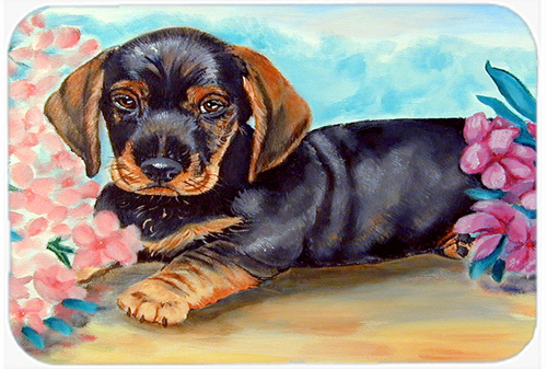Picture of Carolines Treasures 7501LCB Dachshund Glass Cutting Board - Large- 15 x 12 in.