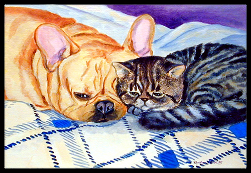Cat Indoor Or Outdoor Doormat
