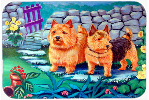 Picture of Carolines Treasures 7520LCB Norwich Terrier Glass Cutting Board - Large