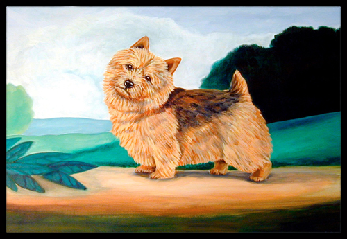 Norwich Terrier Indoor Or Outdoor Doormat