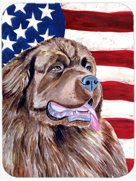 USA American Flag With Newfoundland Glass Cutting Board - Large
