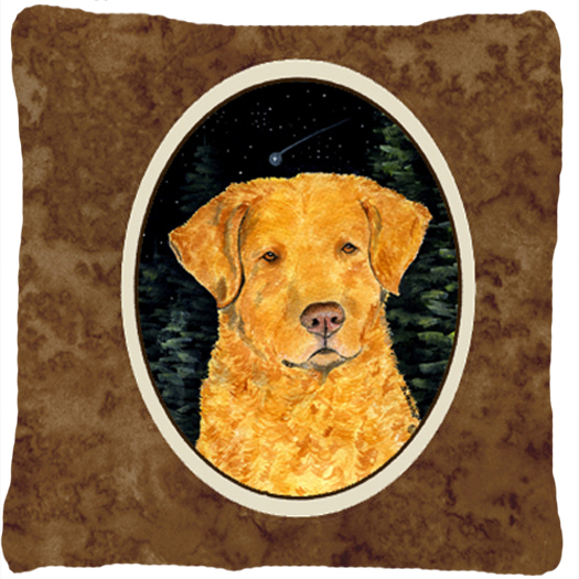 Starry Night Chesapeake Bay Retriever Indoor & Outdoor Decorative Fabric Pillow 14 x 14 in.