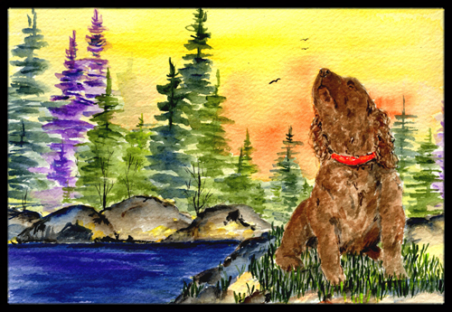American Water Spaniel Doormat - 24 x 36 in.