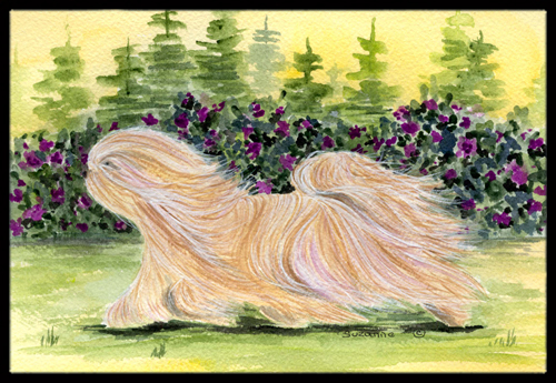 Lhasa Apso Doormat - 24 x 36 in.