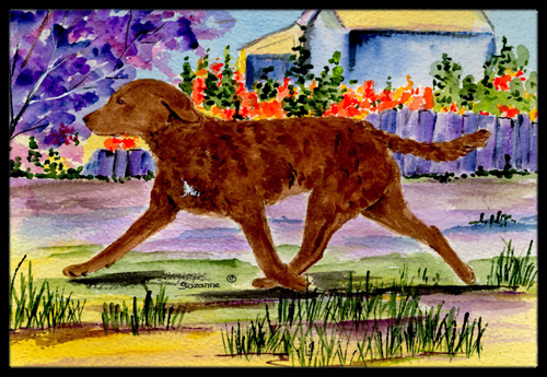 Chesapeake Bay Retriever Doormat - 24 x 36 in.