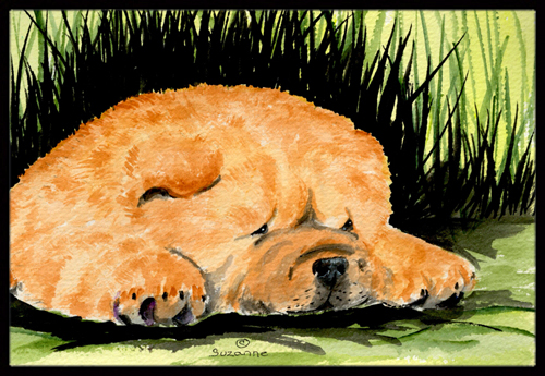 SS8525JMAT Chow Chow Doormat - 24 x 36 in.