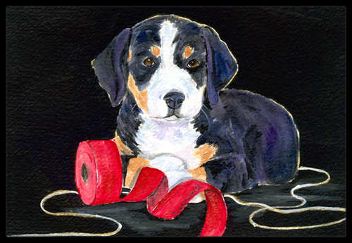 Entlebucher Mountain Dog Doormat - 24 x 36 in.