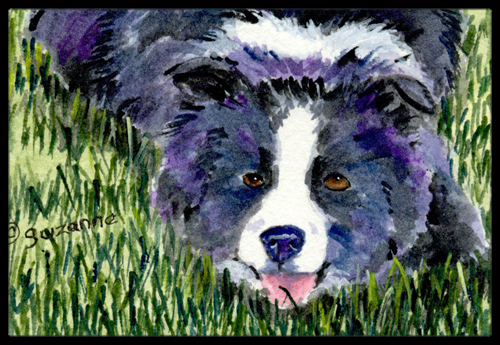 Border Collie Indoor Or Outdoor Mat