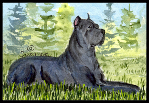 24 x 36 in. Cane Corso Doormat