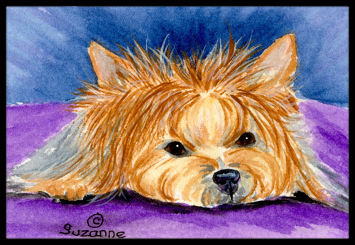 24 x 36 in. Yorkie Doormat