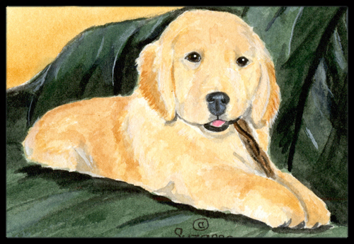 Golden Retriever Doormat - 24 x 36 in.