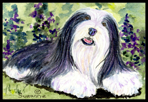 SS8816JMAT 24 x 36 in. Bearded Collie Doormat