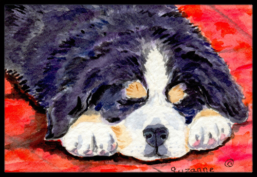 24 x 36 in. Bernese Mountain Dog Doormat