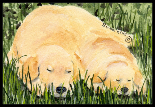 Golden Retriever Doormat - 24 x 36 in.