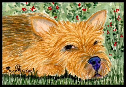 SS8862JMAT 24 x 36 in. Norwich Terrier Doormat