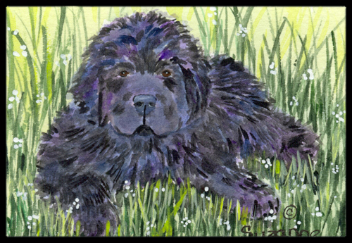 SS8872JMAT 24 x 36 in. Newfoundland Doormat