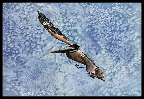 Pelican Indoor Or Outdoor Doormat