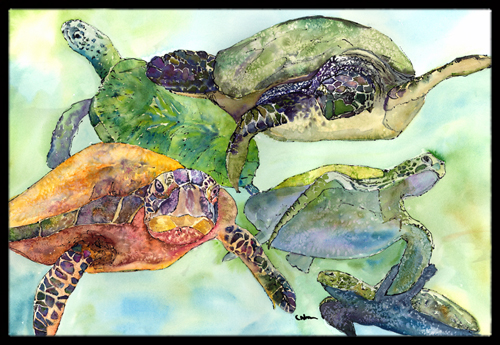 Turtle Indoor Or Outdoor Doormat - 24 x 36 in.