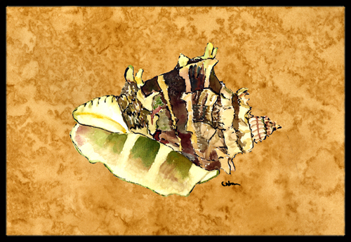 Shell Indoor Or Outdoor Doormat