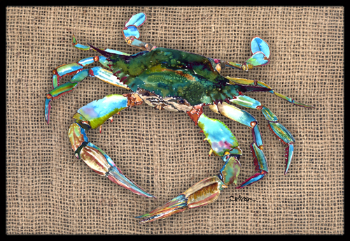 Crab Indoor Or Outdoor Doormat, 24 x 36 in.