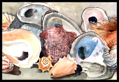 Sea Shells Indoor Or Outdoor Doormat- 24 x 36 in.