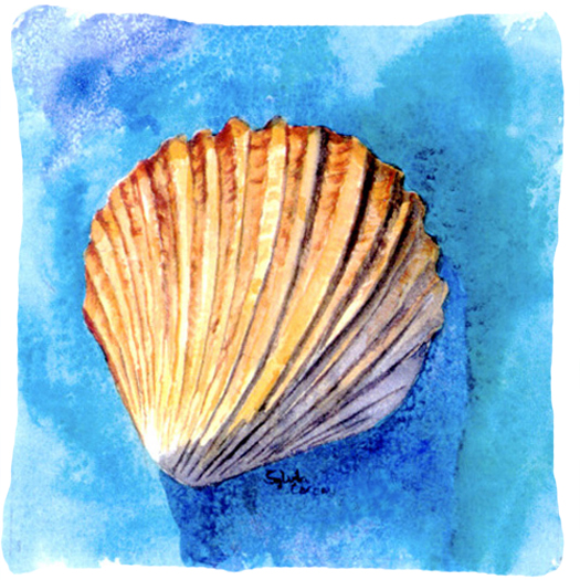Shells Decorative Fabric Pillow
