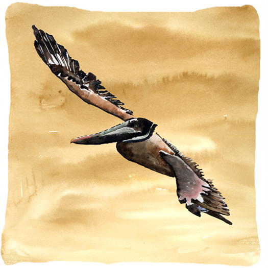 Bird - Pelican Decorative Fabric Pillow