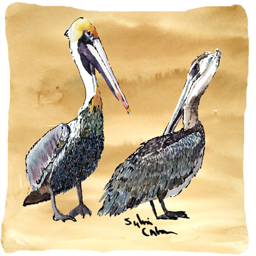 14 x 14 in. Bird - Pelican Decorative Fabric Pillow
