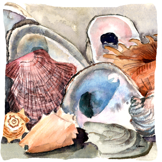 Sea Shells Indoor & Outdoor Fabric Decorative Pillow
