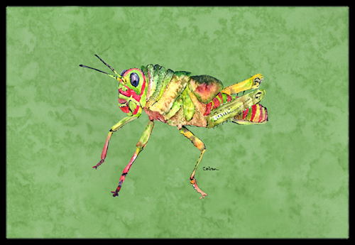 Grasshopper On Avacado Indoor Or Outdoor Doormat