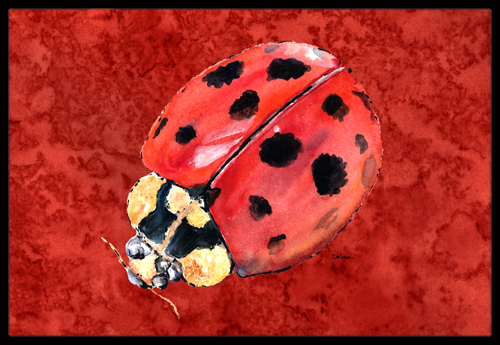 24 x 36 in. Lady Bug On Deep Red Indoor Or Outdoor Doormat
