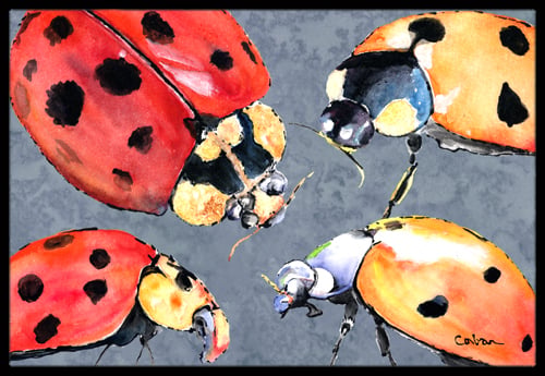 8876JMAT 24 x 36 in. Lady Bug Multiple Indoor Or Outdoor Doormat