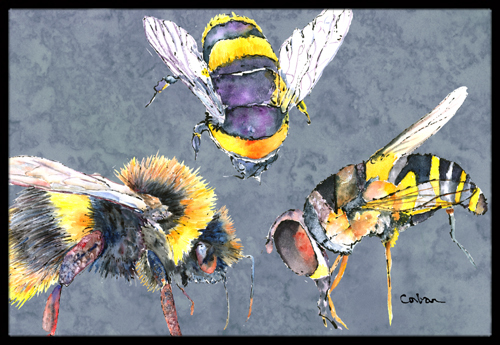 Bee Bees Times Three Indoor Or Outdoor Doormat