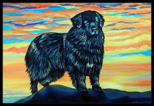 18 x 27 in. Newfoundland Indoor Outdoor Mat