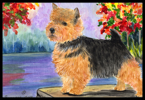 18 x 27 in. Norwich Terrier Indoor Outdoor Mat