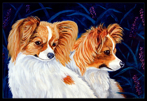 18 x 27 in. Papillon Indoor Outdoor Mat