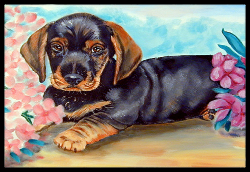 18 x 27 in. Dachshund Indoor Outdoor Mat
