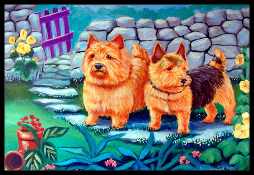 18 x 27 in. Norwich Terrier Indoor Outdoor Mat