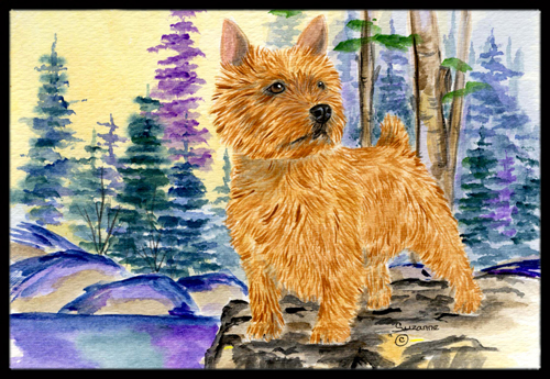 18 x 27 in. Norwich Terrier Indoor Outdoor Mat