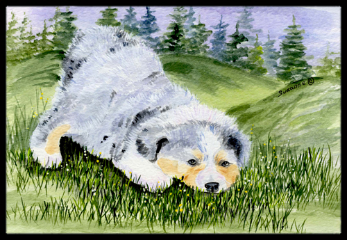 Australian Shepherd Indoor Outdoor Mat - 18 x 27 in.