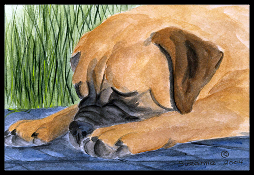 Bullmastiff Indoor Outdoor Mat