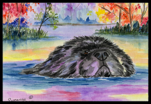 18 x 27 in. Newfoundland Indoor Outdoor Mat